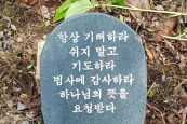 정선규 작가 기념목
