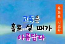 고독은 홀로 설 때가 아름답다 (전자책)