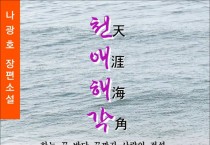 천애해각 (전자책)