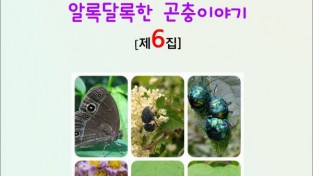 광대노린재 약충 하하하와 뒷북 아저씨의 알록달록한 곤충이야기 [제6집] (전자책)