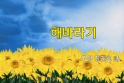 [낭독낭송시 066] 해바라기 / 정민호 詩