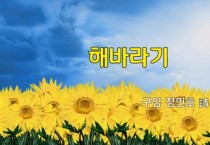 [낭독낭송시 066] 해바라기 / 정민호 詩