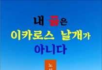 내 꿈은 이카로스 날개가 아니다 (전자책)