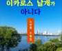 내 꿈은 이카로스 날개가 아니다 (전자책)