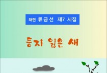 [책] 둥지 잃은 새 (전자책)