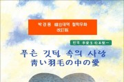 [책] 푸른 깃털 속의 사랑 青い羽毛の中の愛 (전자책)