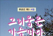 그리움은 가슴마다 [개정판] (전자책)