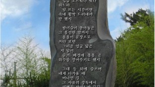 달맞이꽃 / 예현 김숙경