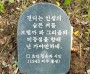 초연 김은자 시인 기념목