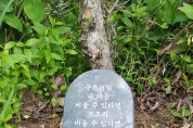 박인혜 시인 기념목