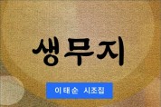 생무지 (전자책)