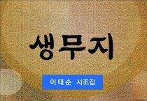 생무지 (전자책)