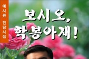 보시오, 학봉아재! (전자책)