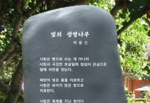 박용신 사이버 시비 '빛의 생명나무'