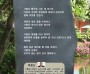 박용신 사이버 시비 '빛의 생명나무'