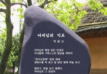 박용신 사이버 시비 '어머님의 기도'