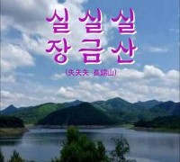 실실실 장금산(失失失 長錦山) / 홍종음 시집 (전자책)